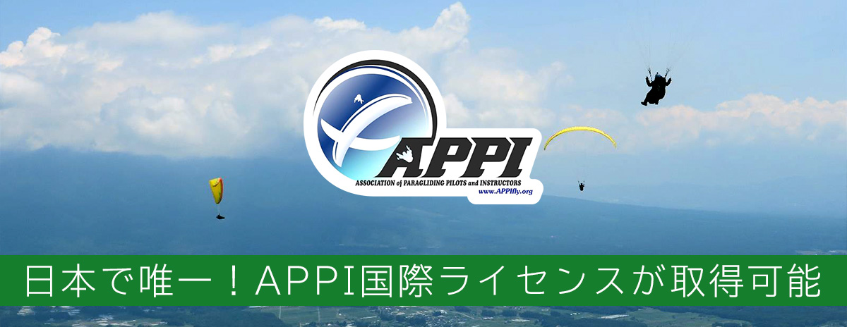 APPI 技能証