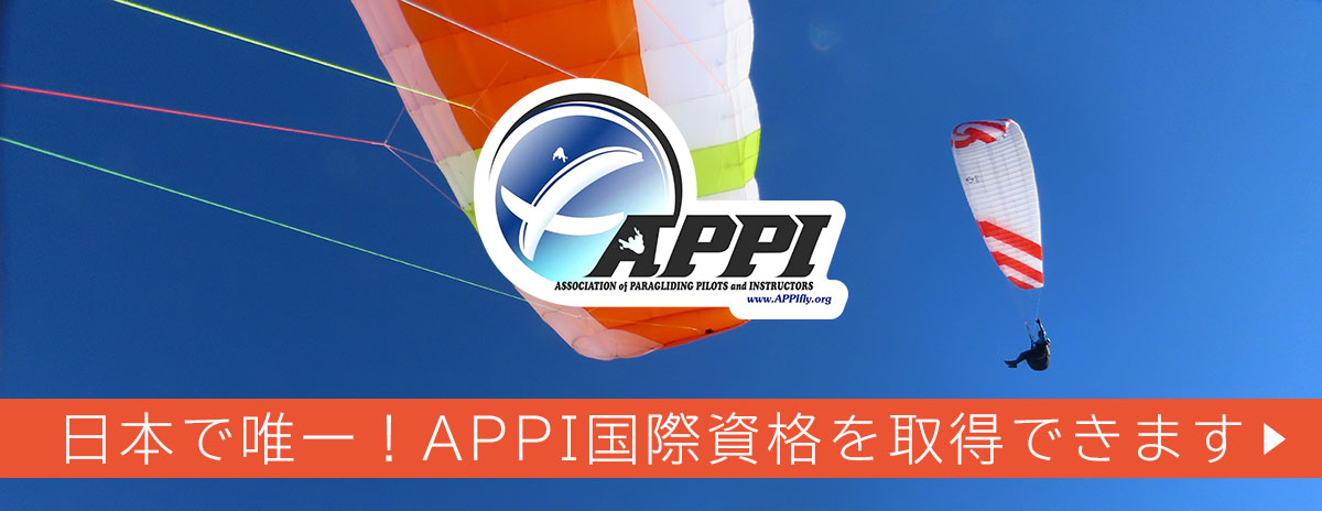 APPI 技能証